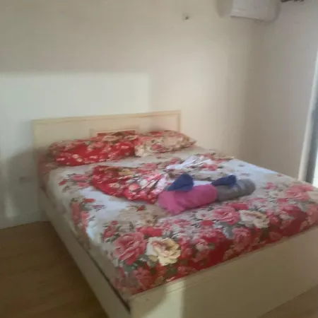Center 2 Apartment Fier